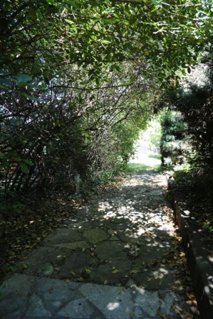 A L'orée Des Cévennes Aigremont Extérieur photo